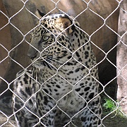 Picture 121
